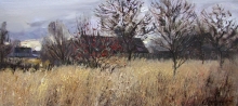 Dry Grass - oil, canvas