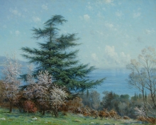 Spring - oil, canvas