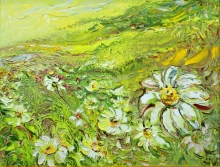 Chamomiles - oil, cardboard