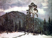 Southern Urals. Pine Tree - oil, cardboard