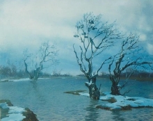 Flood. Rooks - oil, cardboard