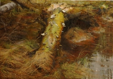 Lowland - oil, canvas