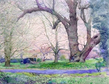 Notley Abbey. England - watercolors, paper